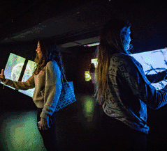 ��ý�wˇ�g(sh��)չ|��New Nature���������M�k��������