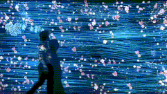 δ��(l��i)��Ӱ��(l��)�@��������ʽȫϢͶӰ,�_��ï����(m��ng)�ÿƼ��¿��g