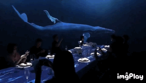 �񼪸��5D�ڿƼ�?j��)��ò͏d �Գ��M�M�ăxʽ��