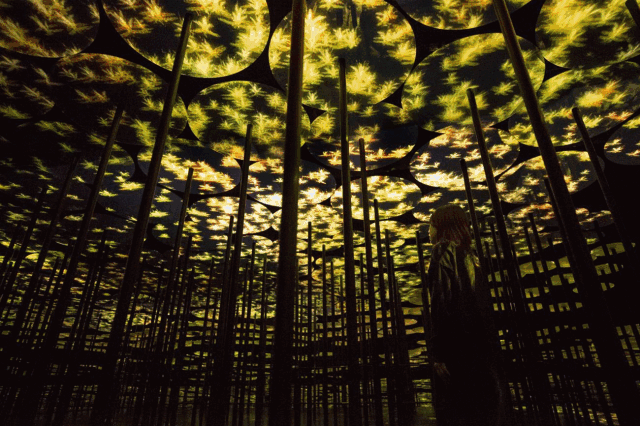 �L(f��ng)��ȫ���teamLab�ڏV�����˂���������