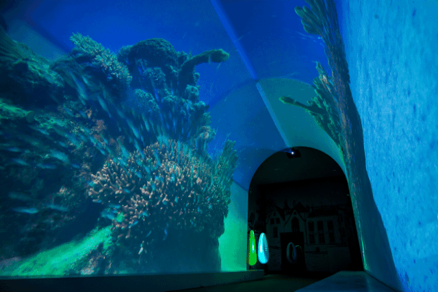 ȫϢͶӰ+����,߀ԭһ������ˇ�g���g!