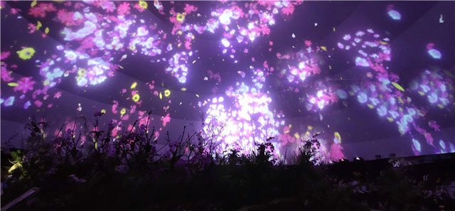 首屆三亞國(guó)際花卉旅游節(jié)360度球幕光影秀